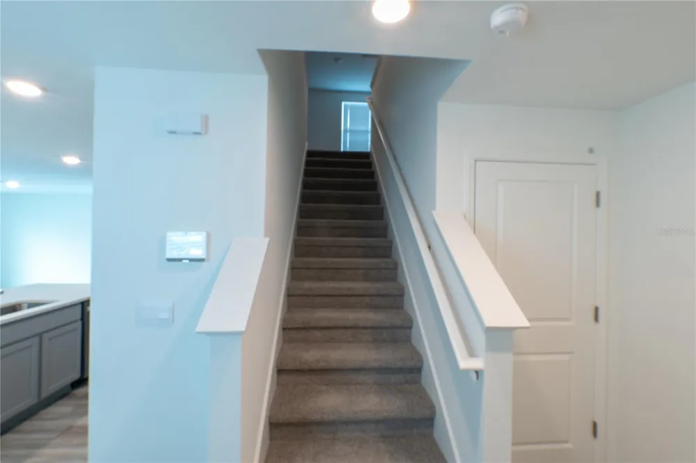 4409 SAND DOLLAR WAY Zephyrhills, FL 33541