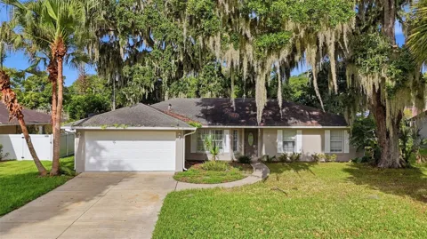 3128 MANGO TREE DRIVE