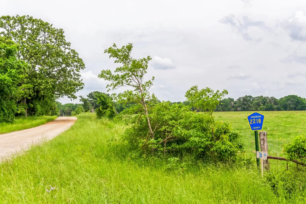 Fm 645 Tennessee Colony, TX 75861