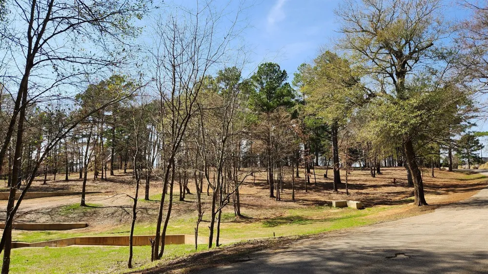 22540 County Road 1174 Bullard, TX 75757