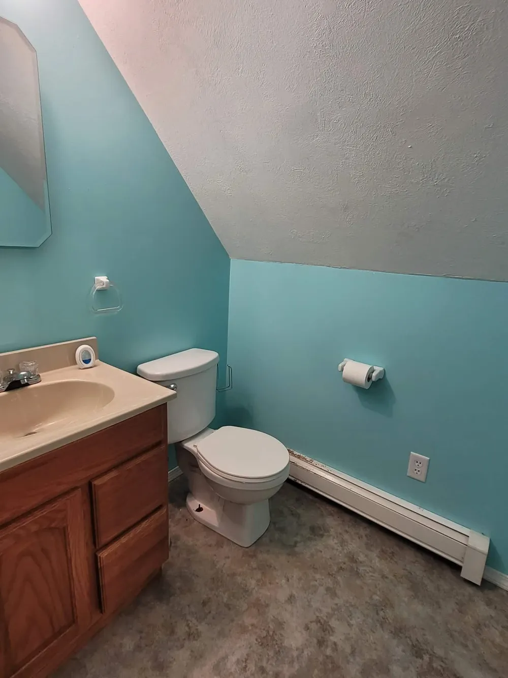 509 Gitchegumee Drive Hanover Township, MI 49620