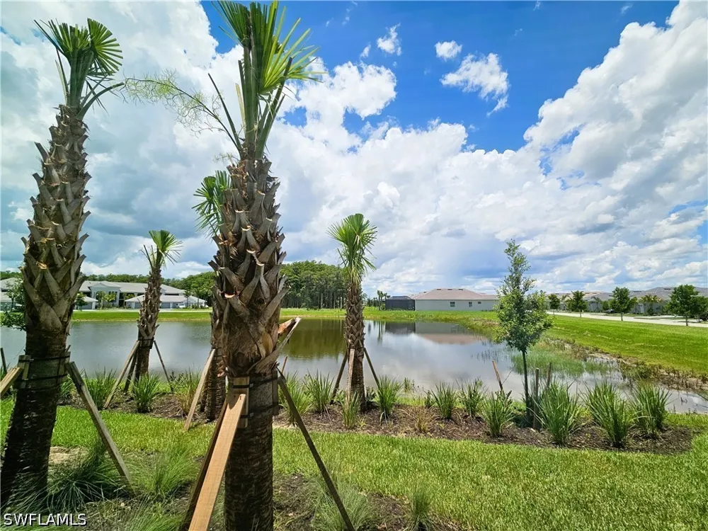 Ellerston Way #712 Ave Maria, FL 34142