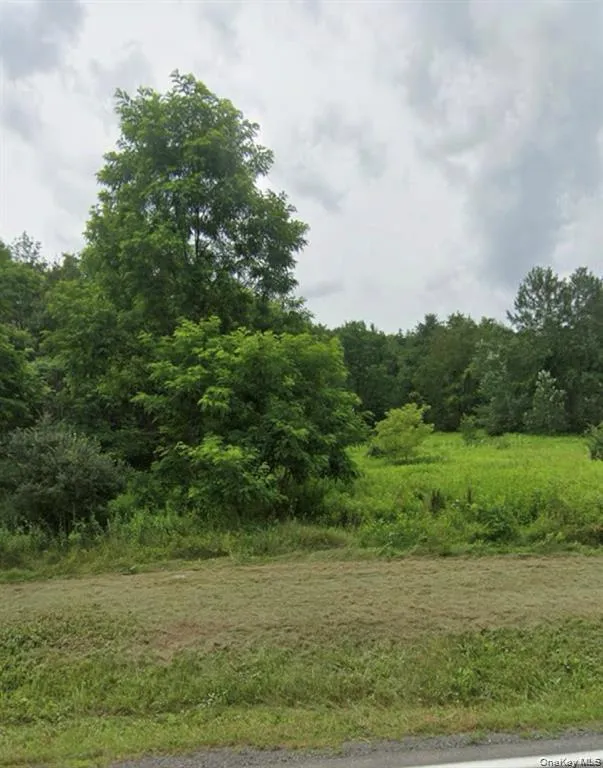 14951 State Route 23 Prattsville, NY 12468