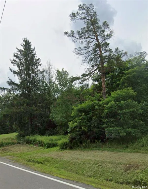 14951 State Route 23 Prattsville, NY 12468