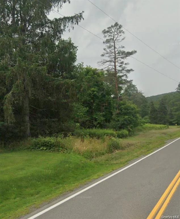 14951 State Route 23 Prattsville, NY 12468