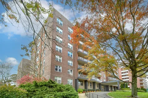 360 Westchester Avenue #314
