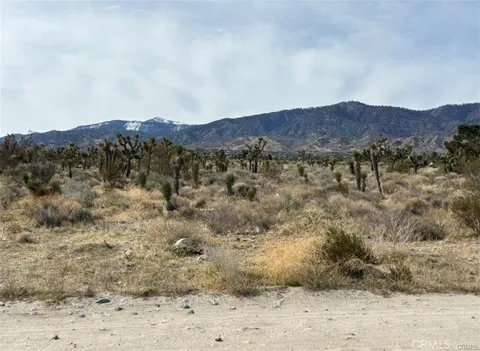 Mono Road