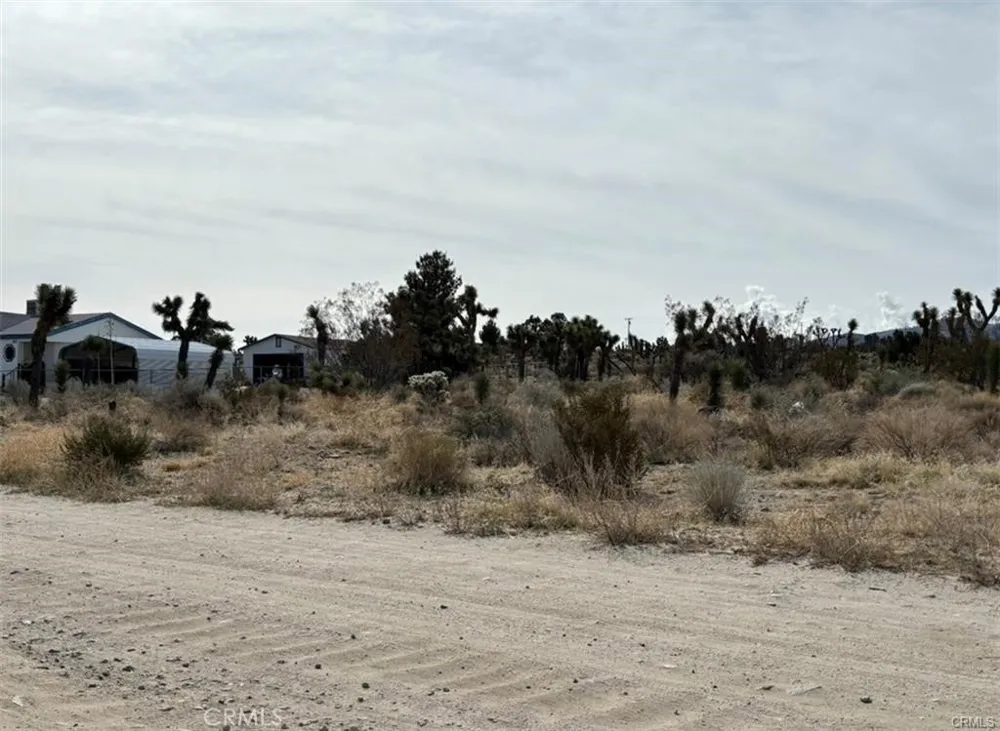 Mono Road Pinon Hills, CA 92372