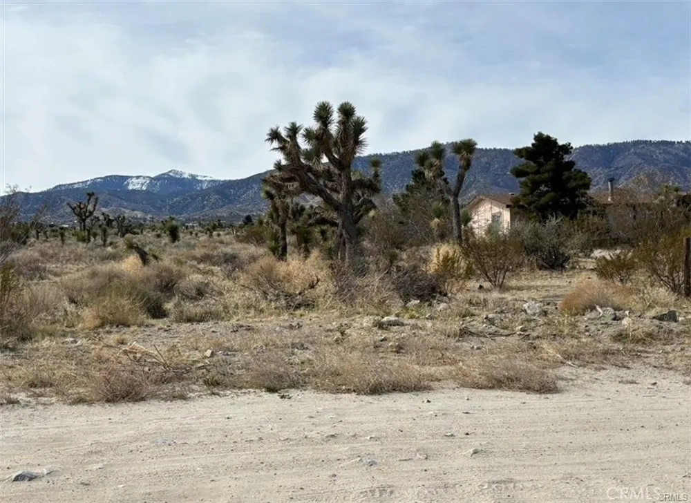 Mono Road Pinon Hills, CA 92372