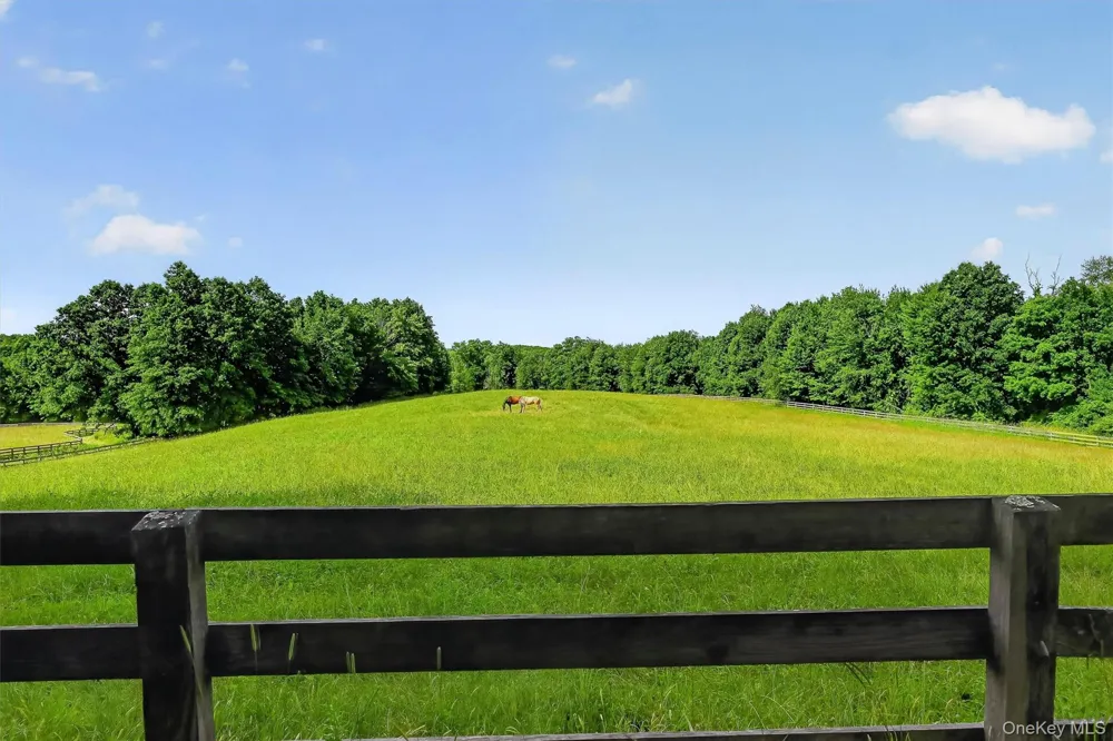 123 Collabar Road Montgomery, NY 12549