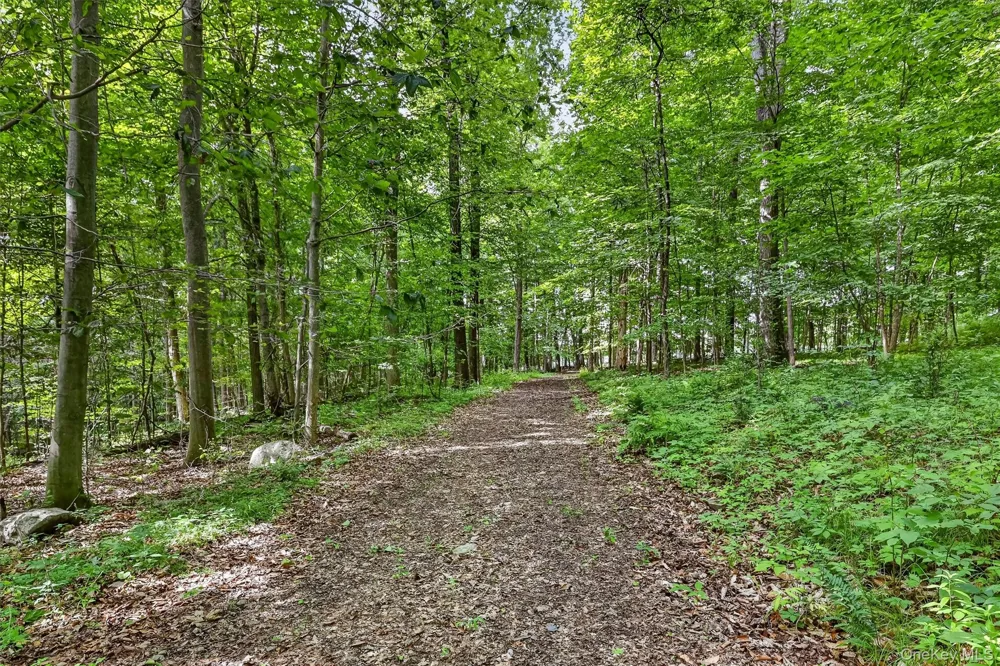 123 Collabar Road Montgomery, NY 12549