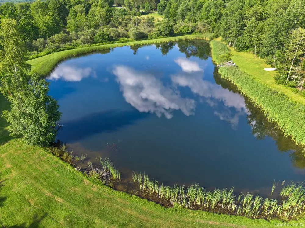 1841 State route 10 Route Jefferson, NY 12093