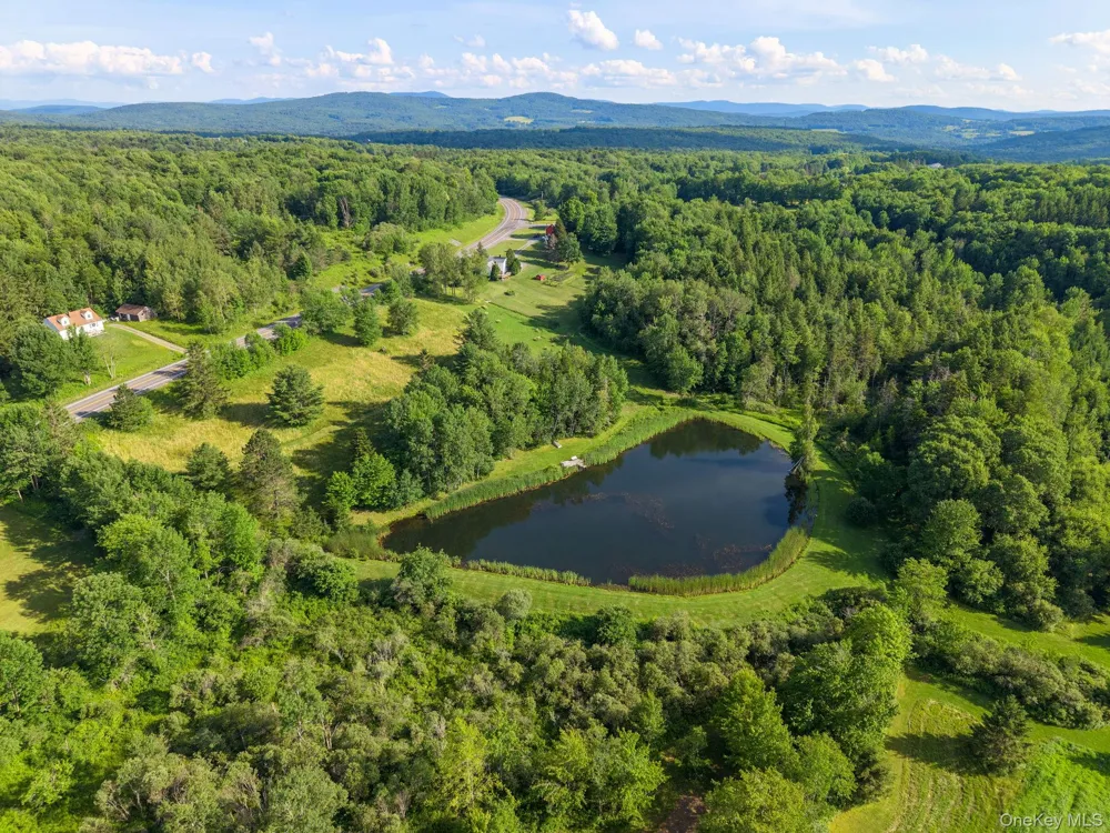 1841 State route 10 Route Jefferson, NY 12093