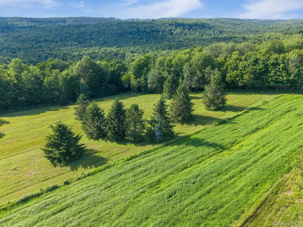 1841 State route 10 Route Jefferson, NY 12093