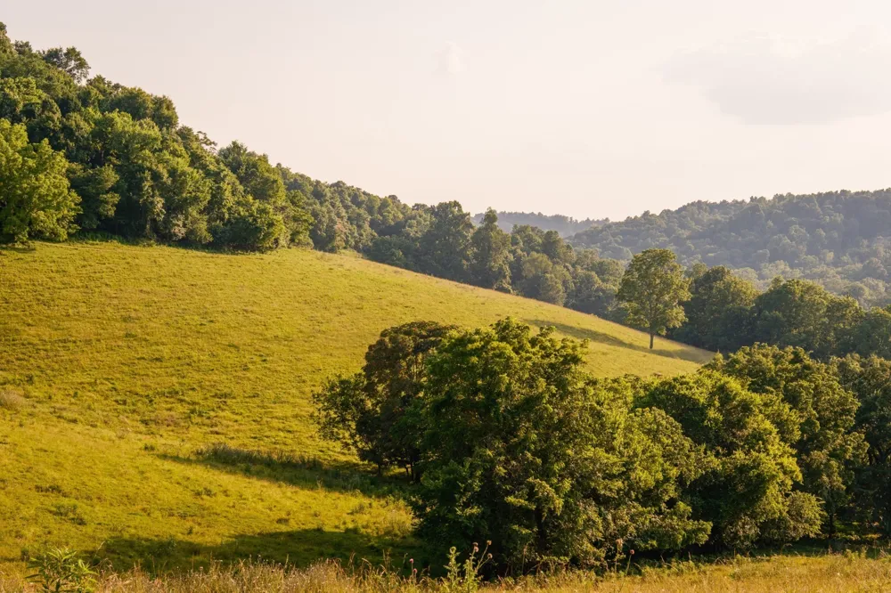 2405 Thompson Rd Lewisburg, TN 37091