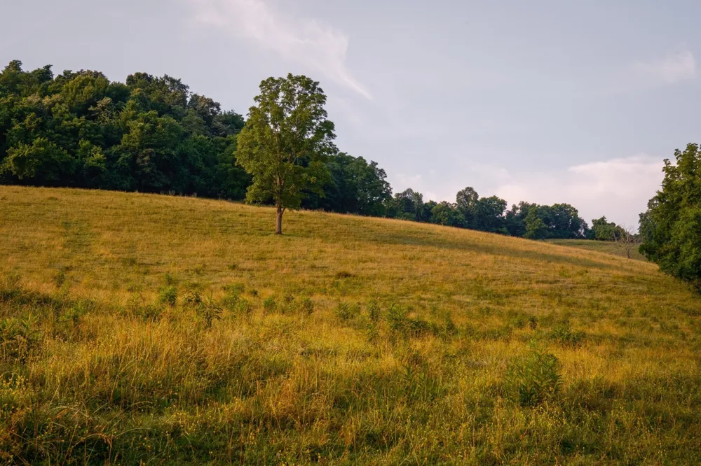 2405 Thompson Rd Lewisburg, TN 37091