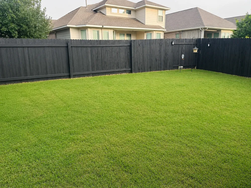 20804 Snow Bunting Lane Pflugerville, TX 78660