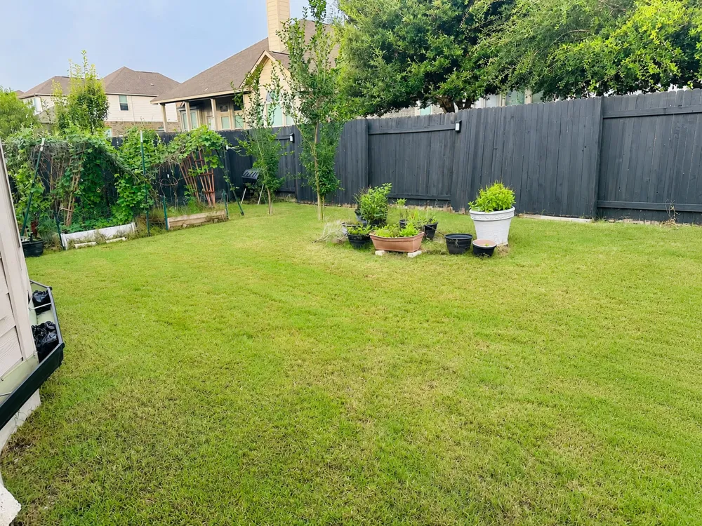20804 Snow Bunting Lane Pflugerville, TX 78660