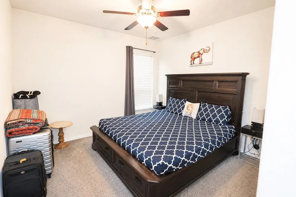 20804 Snow Bunting Lane Pflugerville, TX 78660