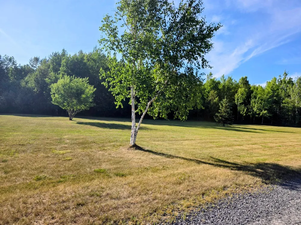 3142 Highway 53 International Falls, MN 56649