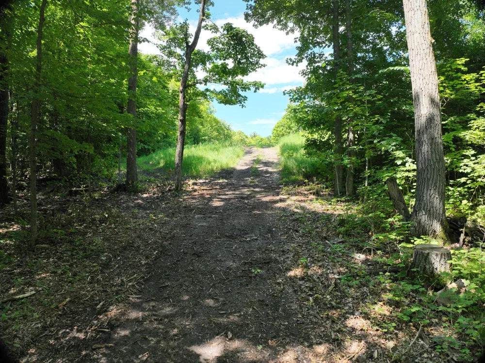 LOT 6 West Lake Olaf Road Pelican Rapids, MN 56572