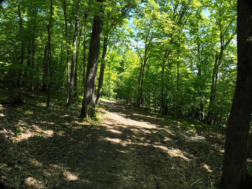 LOT 6 West Lake Olaf Road Pelican Rapids, MN 56572