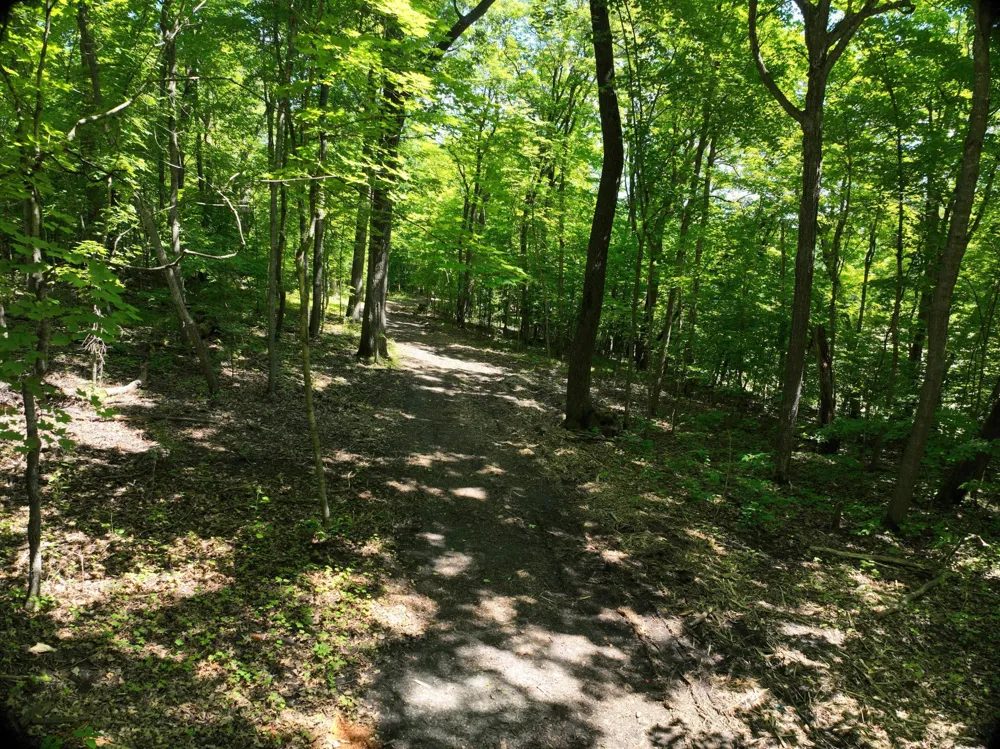 LOT 6 West Lake Olaf Road Pelican Rapids, MN 56572