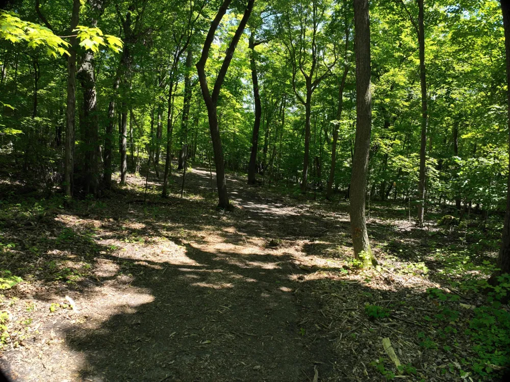 LOT 6 West Lake Olaf Road Pelican Rapids, MN 56572