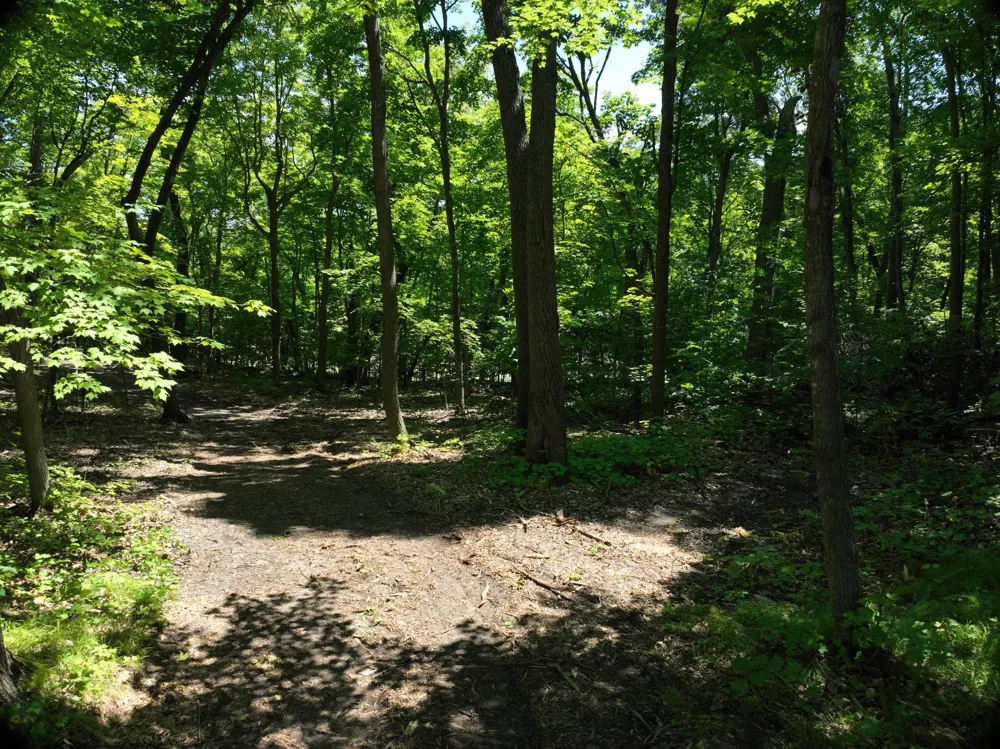 LOT 6 West Lake Olaf Road Pelican Rapids, MN 56572