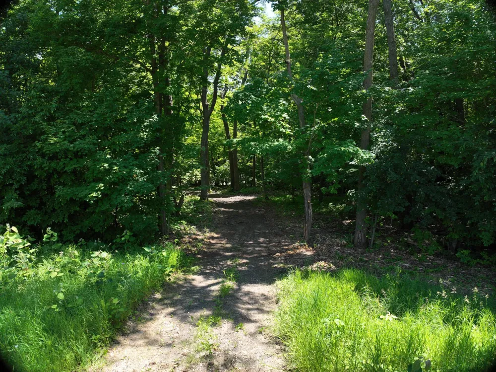 LOT 6 West Lake Olaf Road Pelican Rapids, MN 56572