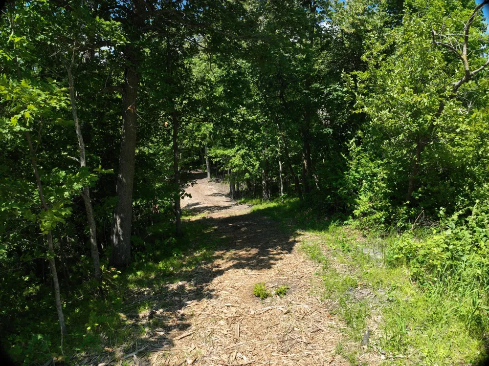 LOT 6 West Lake Olaf Road Pelican Rapids, MN 56572