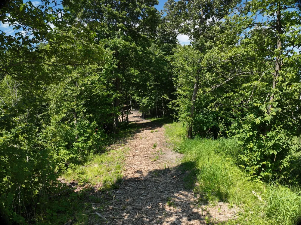 LOT 6 West Lake Olaf Road Pelican Rapids, MN 56572