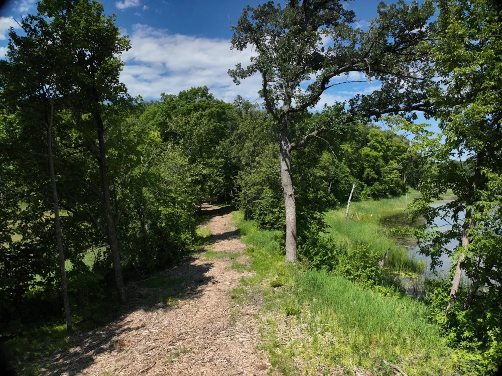 LOT 6 West Lake Olaf Road Pelican Rapids, MN 56572
