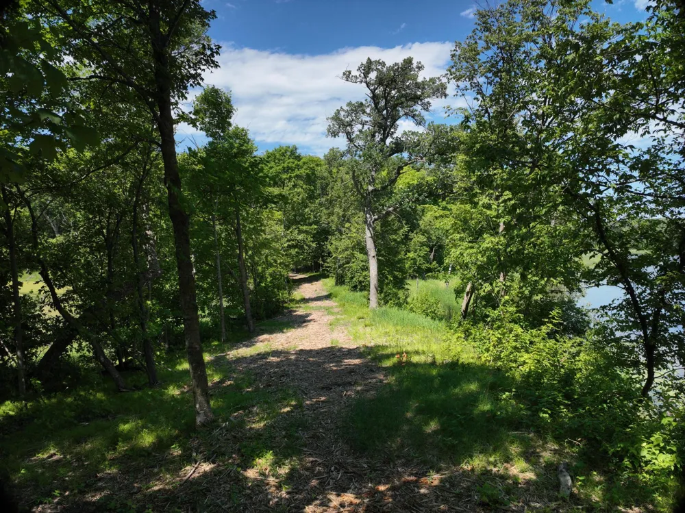 LOT 6 West Lake Olaf Road Pelican Rapids, MN 56572