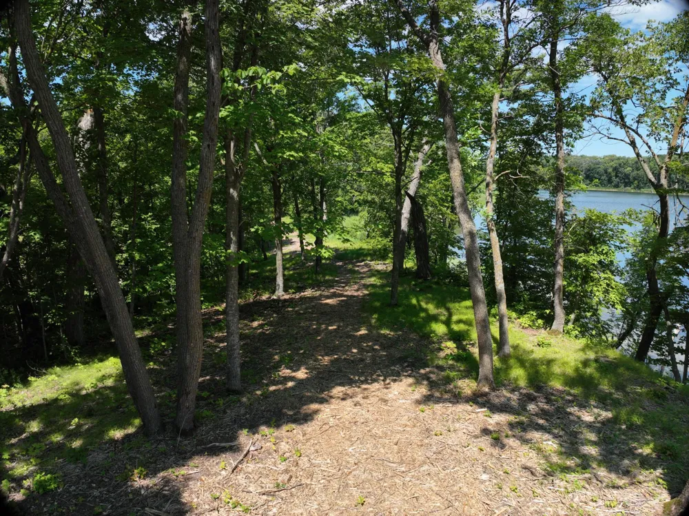 LOT 6 West Lake Olaf Road Pelican Rapids, MN 56572
