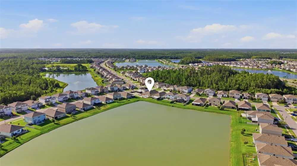 2927 LIVING CORAL DRIVE Odessa, FL 33556