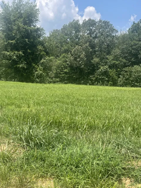 0 Summer Lake