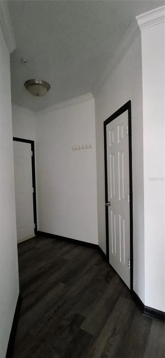8539 GATE PARKWAY W #1737 Jacksonville, FL 32216