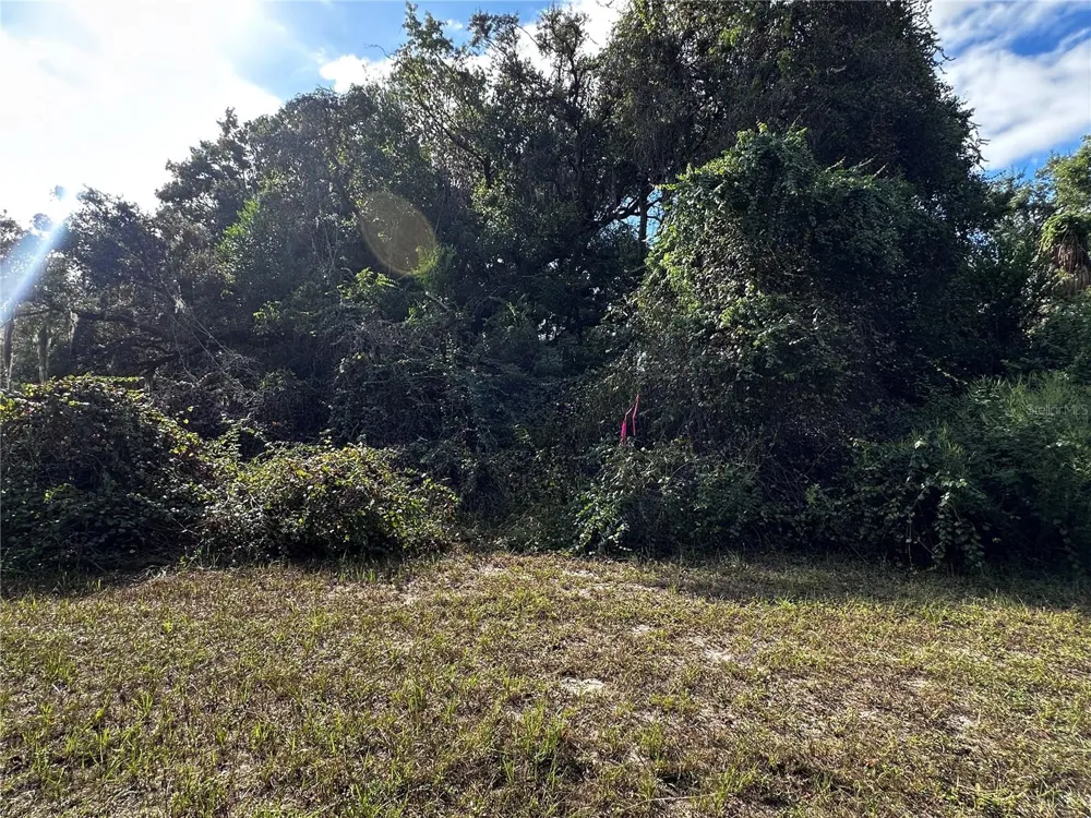 722 HIGHWAY 40 W Inglis, FL 34449