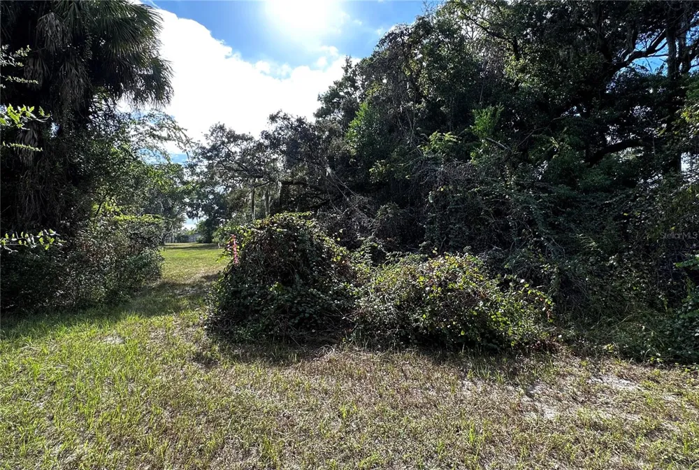722 HIGHWAY 40 W Inglis, FL 34449