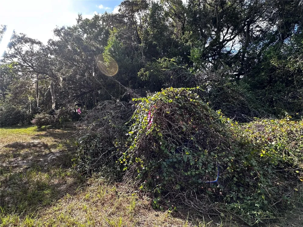 722 HIGHWAY 40 W Inglis, FL 34449