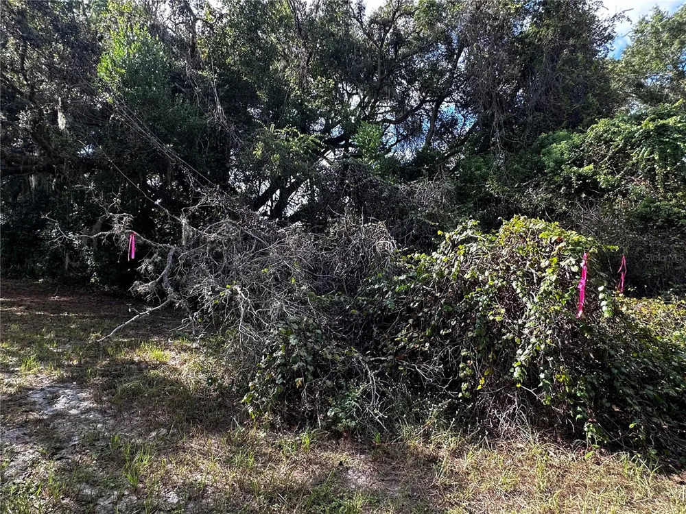 722 HIGHWAY 40 W Inglis, FL 34449