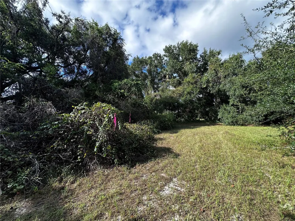 722 HIGHWAY 40 W Inglis, FL 34449
