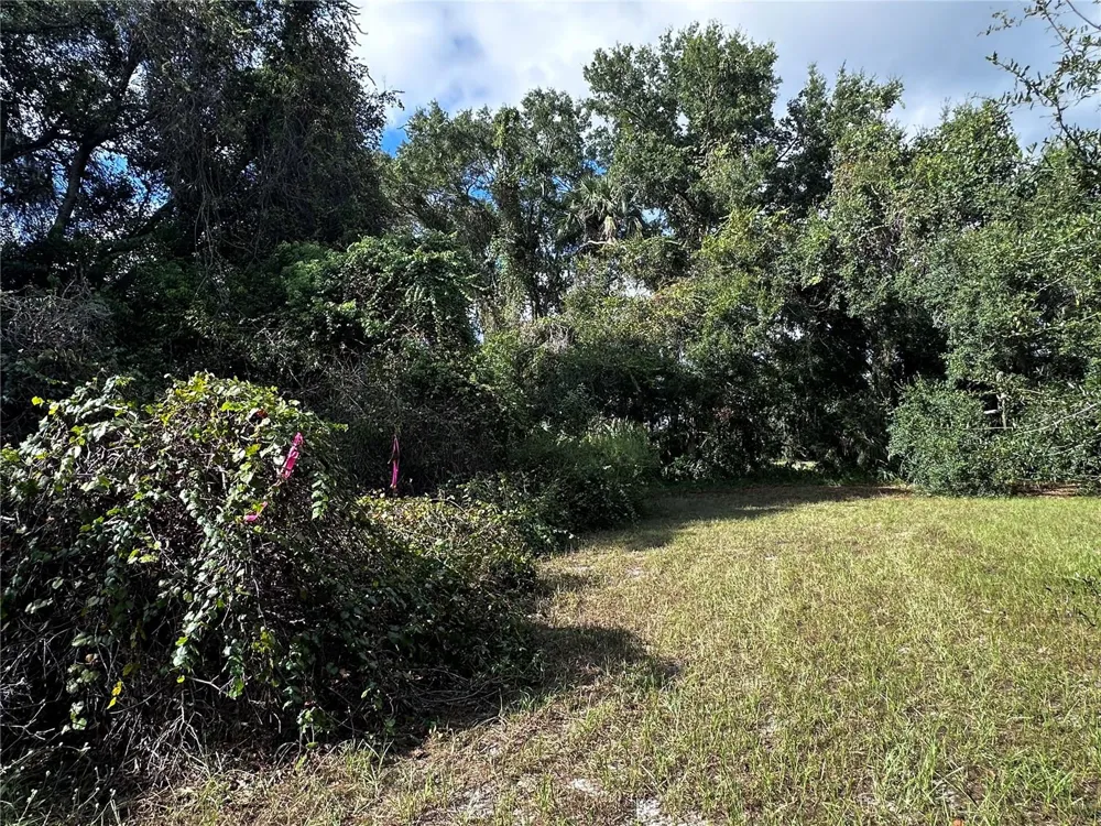 722 HIGHWAY 40 W Inglis, FL 34449
