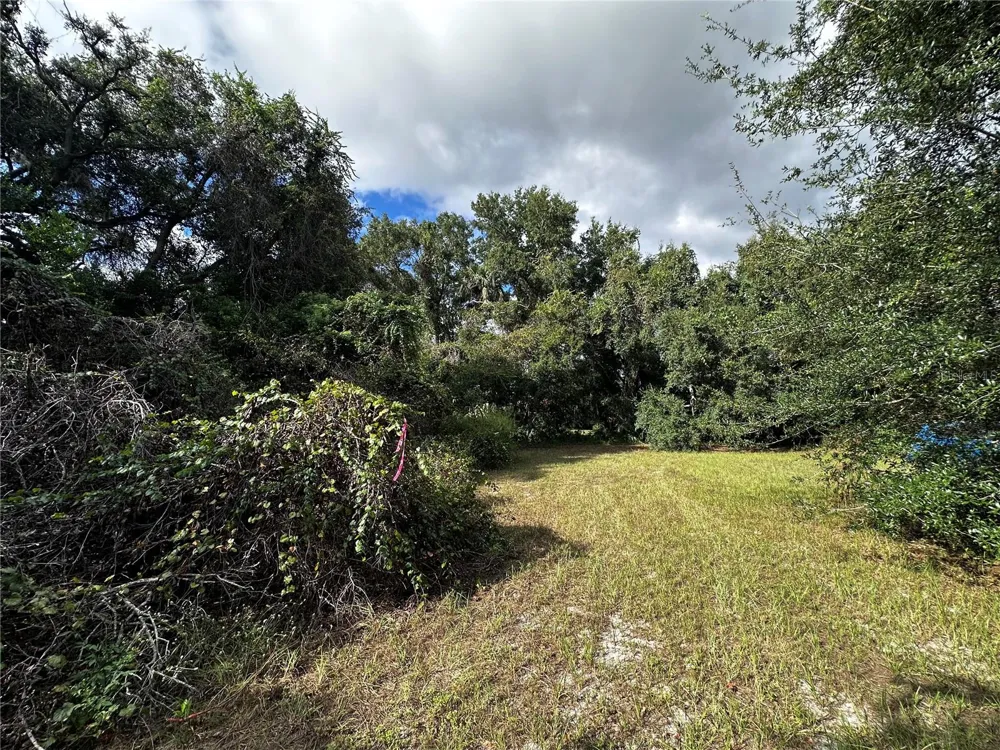 722 HIGHWAY 40 W Inglis, FL 34449
