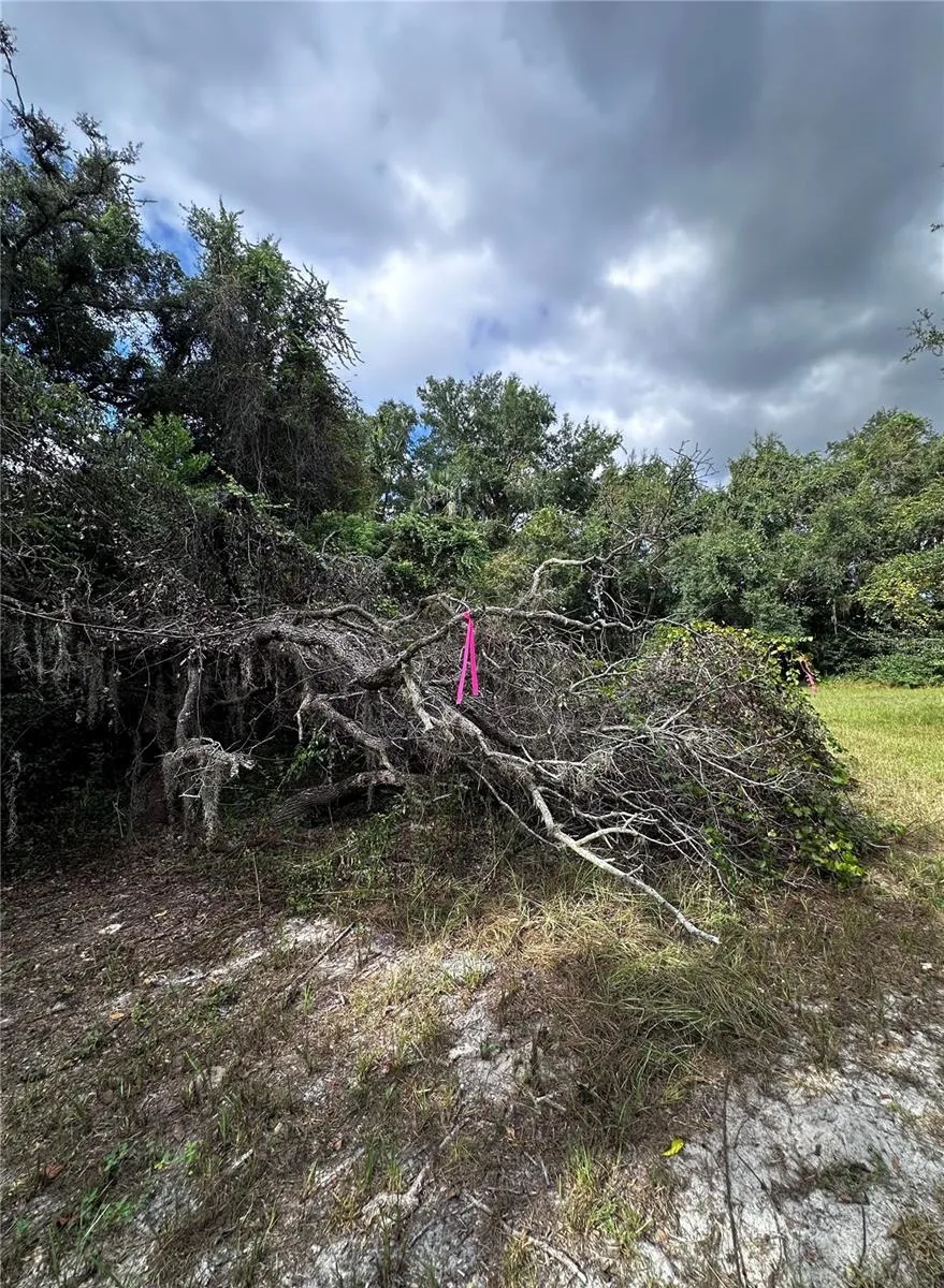 722 HIGHWAY 40 W Inglis, FL 34449