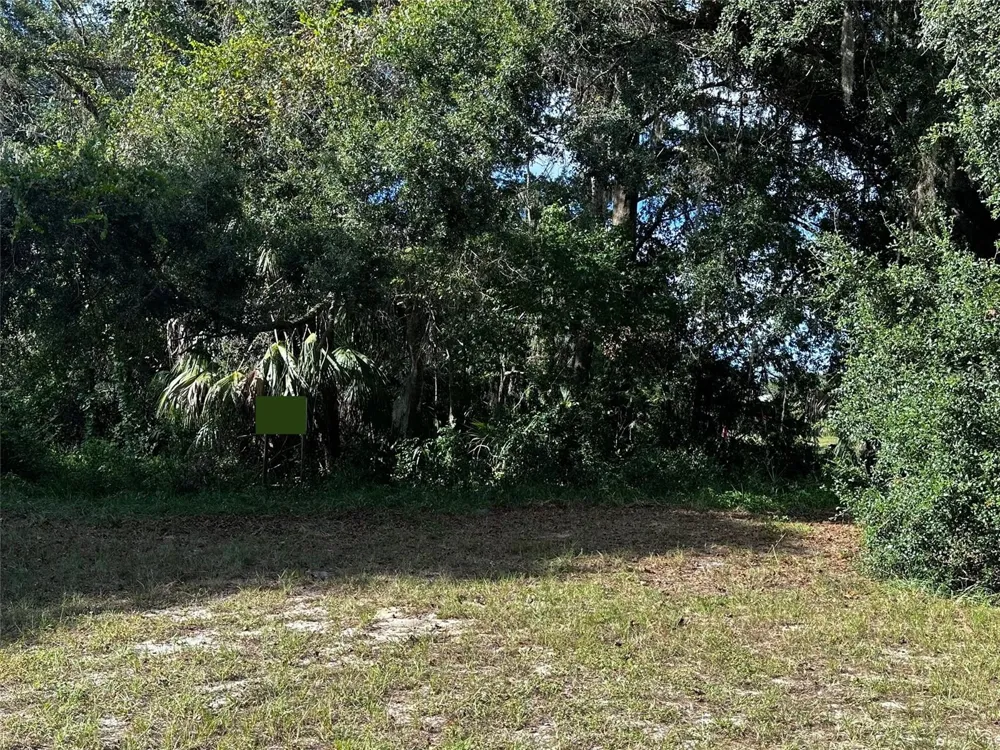 722 HIGHWAY 40 W Inglis, FL 34449