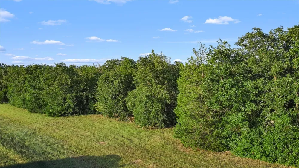 481 Fcr Teague, TX 75860