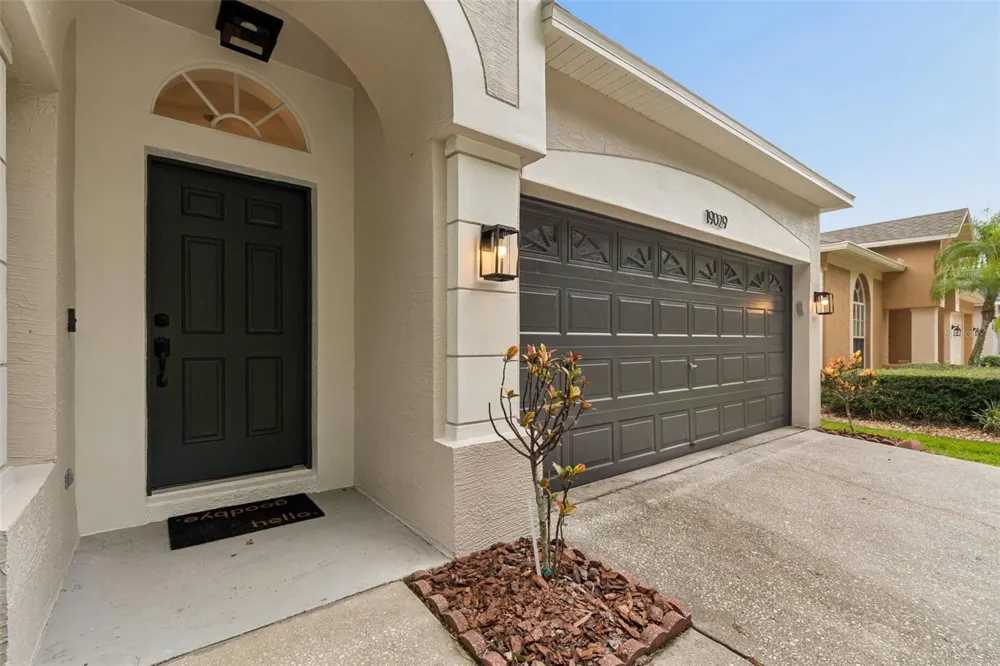 19029 CHEMILLE DRIVE Lutz, FL 33558