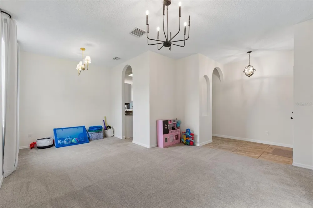 19029 CHEMILLE DRIVE Lutz, FL 33558